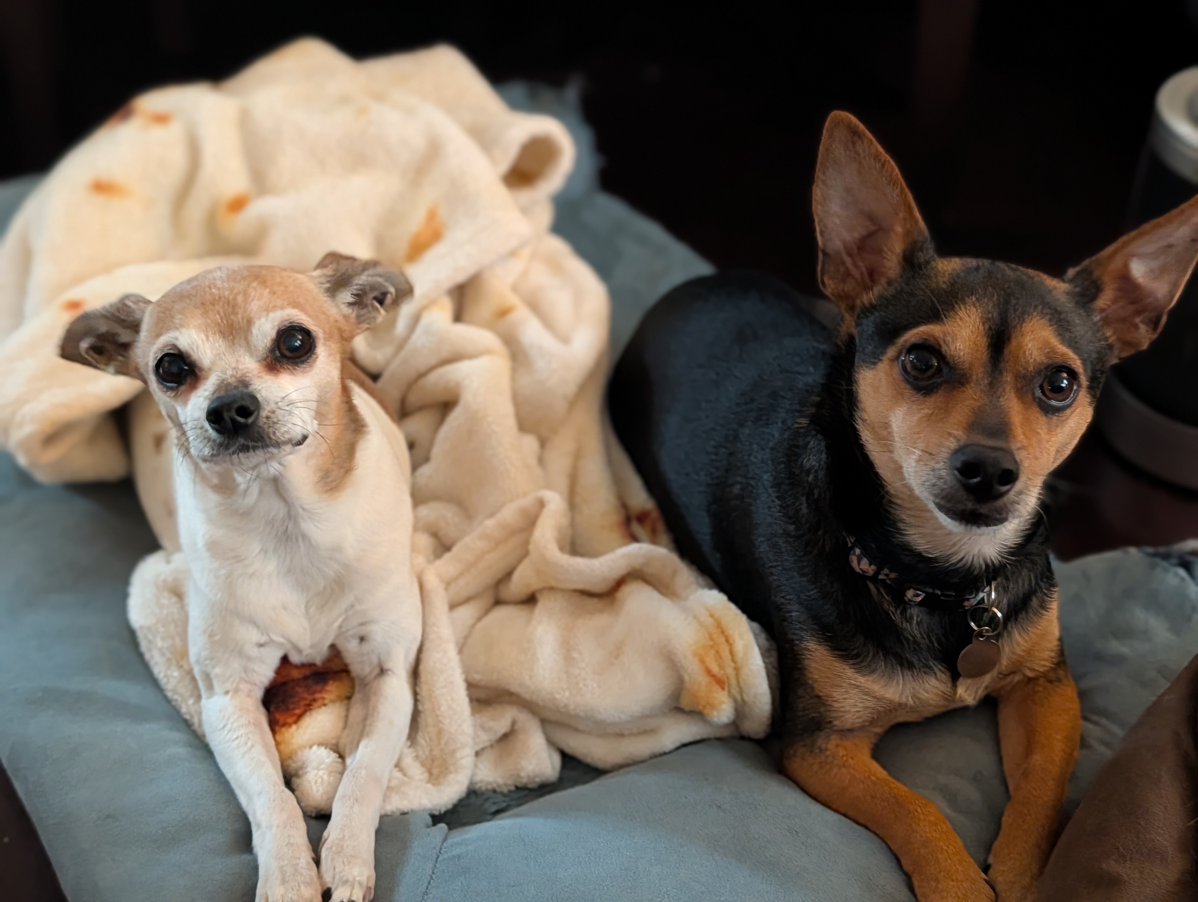 Herbie and Stella together